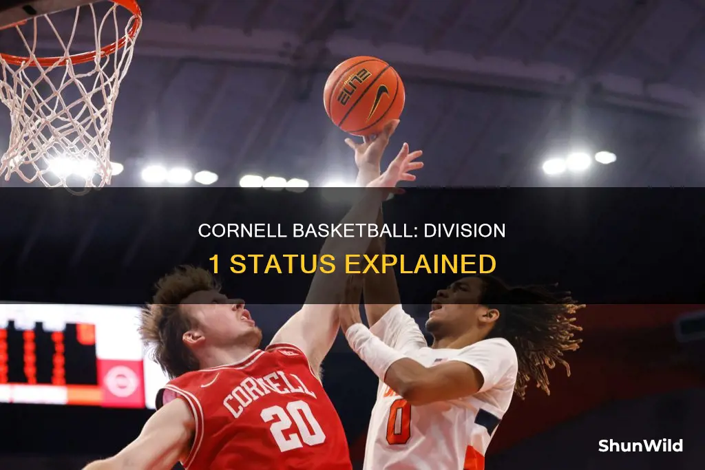 is cornell division 1 basketball