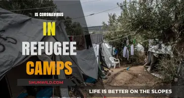Coronavirus in Refugee Camps: Risks, Challenges, and Urgent Solutions