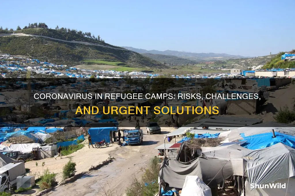 is coronavirus in refugee camps