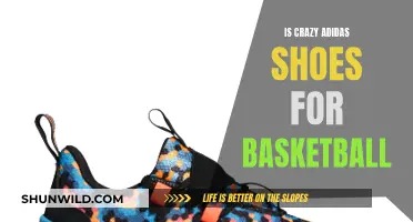 Adidas' Wild Basketball Shoes: A Crazy Revolution