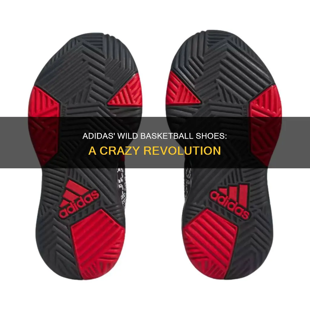 is crazy adidas shoes for basketball