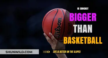 Cricket vs Basketball: Which Sport Reigns Supreme?