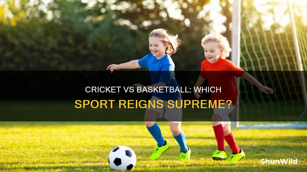 is cricket more popular than basketball