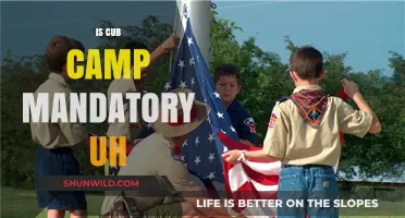 Is Cub Camp Mandatory? Understanding Requirements and Alternatives for Parents