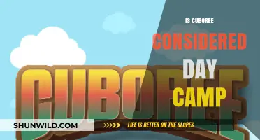 Is Cuboree a Day Camp? Exploring Scouting Event Classifications