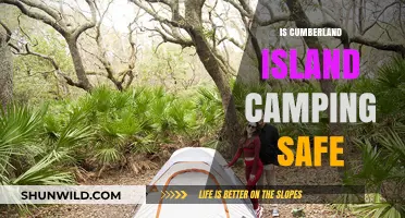 Is Cumberland Island Camping Safe? Exploring Risks and Precautions