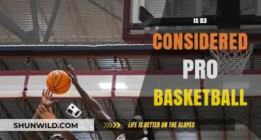 D3 Basketball: Pro or Not?