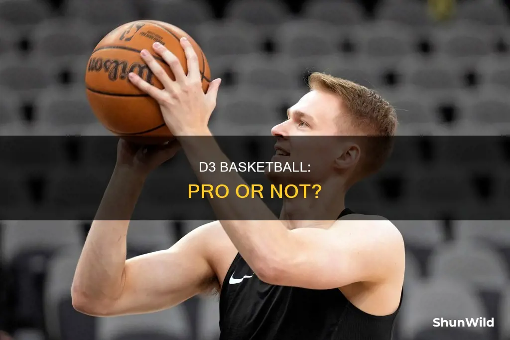is d3 considered pro basketball