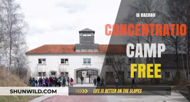 Is Dachau Concentration Camp Free? Entry Costs and Visitor Tips