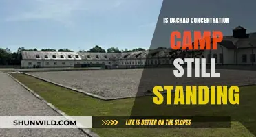 Dachau Concentration Camp: Preserved Memorial or Demolished History?