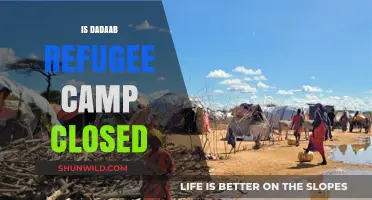 Is Dadaab Refugee Camp Closed? Current Status and Updates
