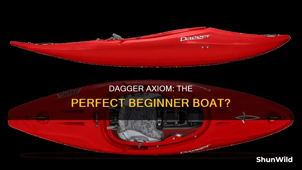 is dagger axiom good beginner boat