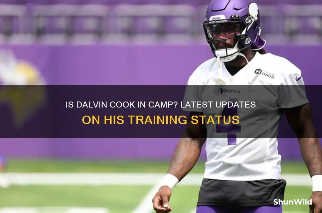 is dalvin cook in camp
