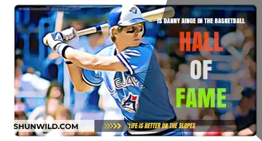 Danny Ainge: Basketball Legend and Hall of Famer?