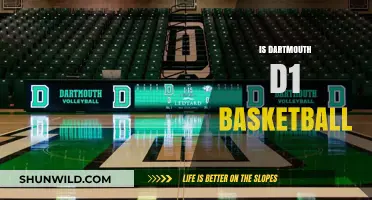 Dartmouth Basketball: D1 Status and Success