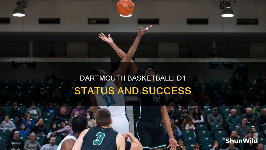 is dartmouth d1 basketball