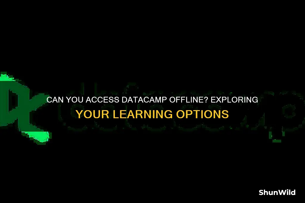 is data camp available offline
