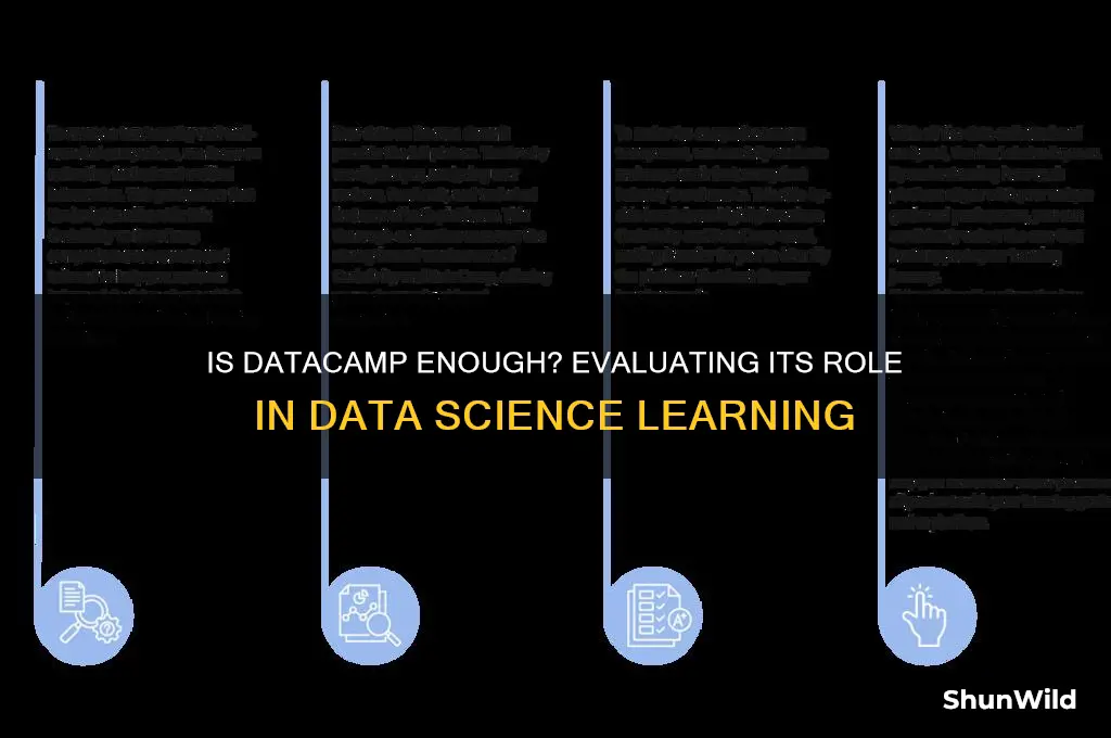 is data camp enoughj