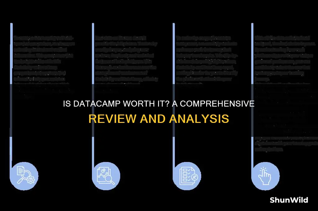 is data camp worth it