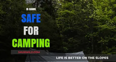 Is Dawn Safe for Camping? Tips and Precautions for Early Risers