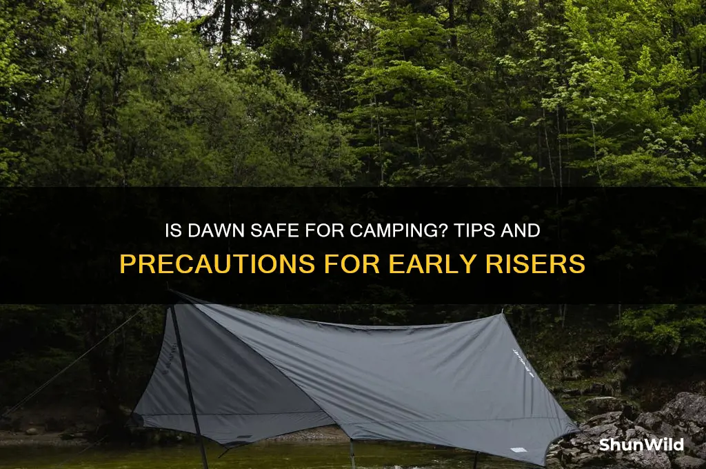 is dawn safe for camping