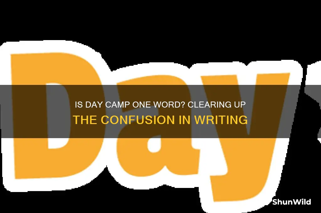 is day camp one word