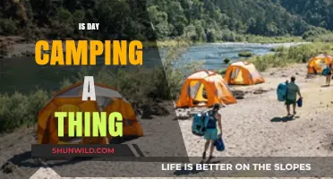 Day Camping: A Quick Outdoor Escape or Real Adventure?