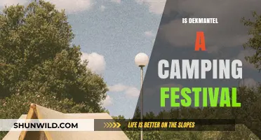 Is Dekmantel a Camping Festival? Exploring the Experience and Logistics