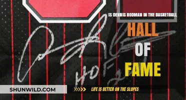 Dennis Rodman: Basketball Hall of Famer?
