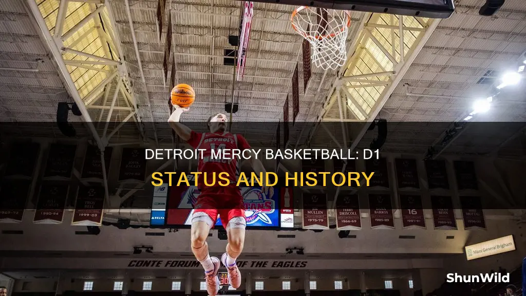 is detroit mercy basketball d1