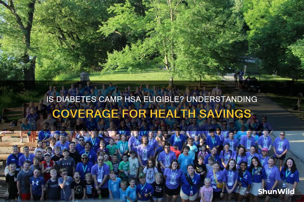 is diabates camp hsa