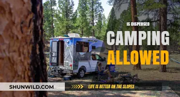 Is Dispersed Camping Allowed? Rules, Tips, and Best Practices for Campers