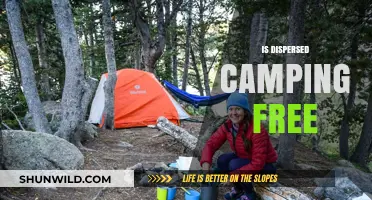 Is Dispersed Camping Free? Exploring Costs and Legalities of Wild Camping