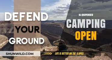 Is Dispersed Camping Open? A Guide to Current Accessibility and Rules