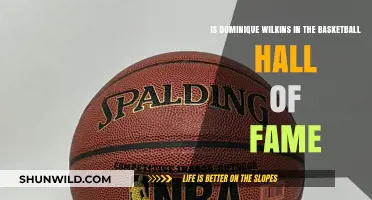Basketball Legend Dominique Wilkins: Hall of Fame Status