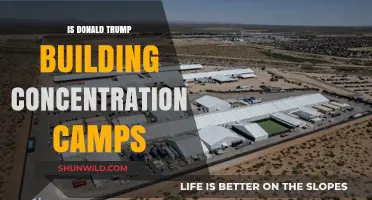 Are Trump's Detention Centers Modern-Day Concentration Camps? A Critical Analysis