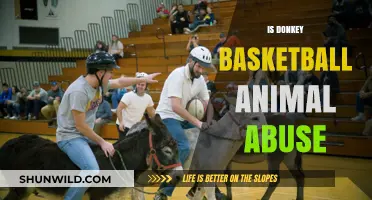 Donkey Basketball: Animal Abuse or Not?