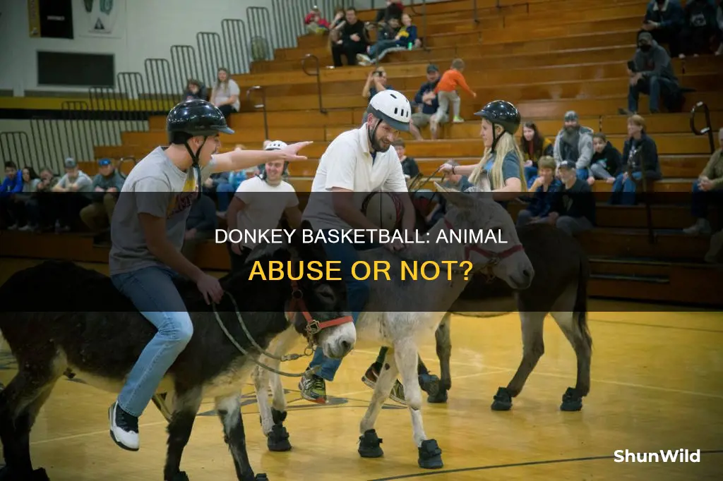 is donkey basketball animal abuse