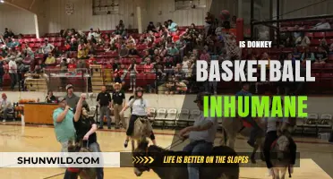 Donkey Basketball: Inhumane Sport or Fun Game?