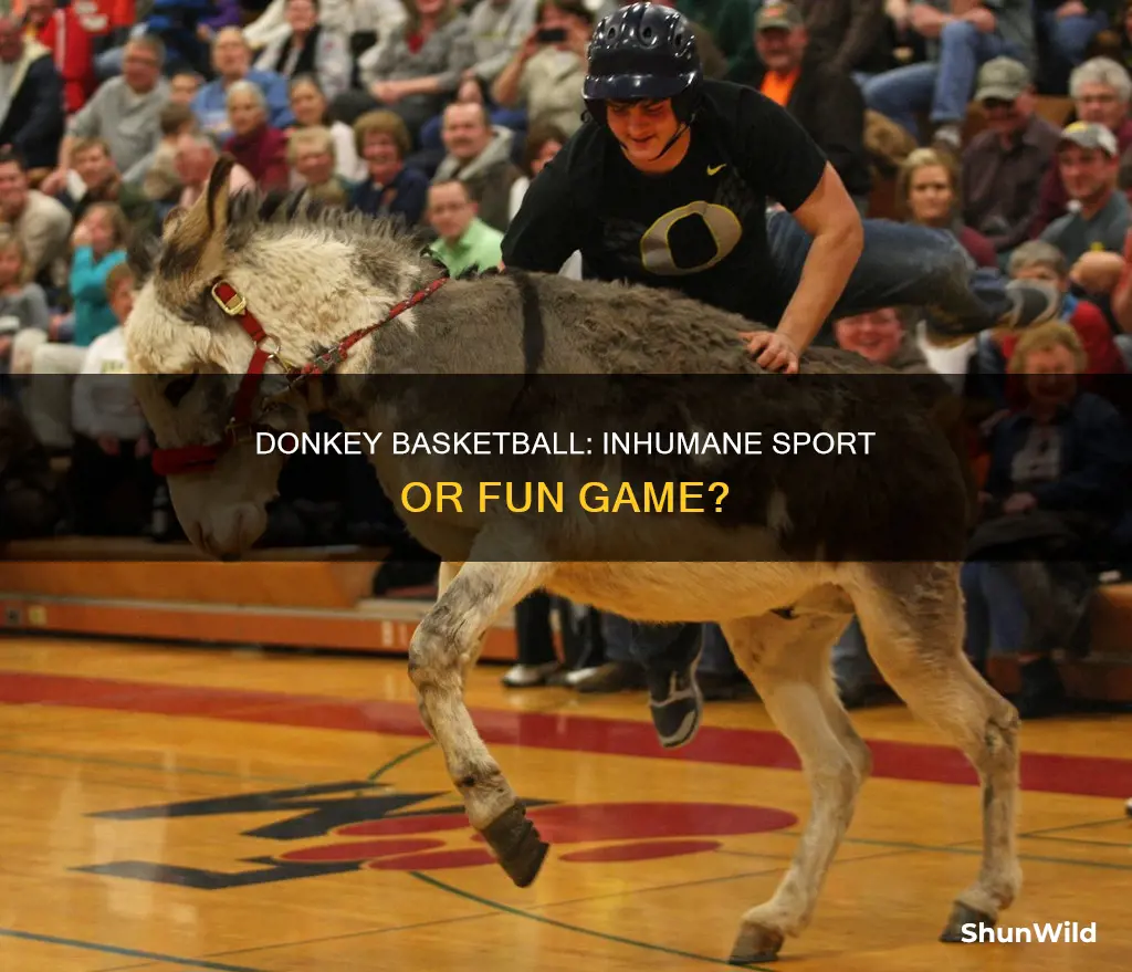 is donkey basketball inhumane