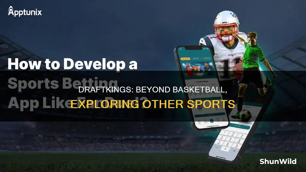 is draftkings only for basketball