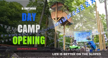 Is Driftwood Day Camp Opening This Summer? Latest Updates