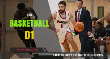 Duke Basketball: Is It a D1 Program?