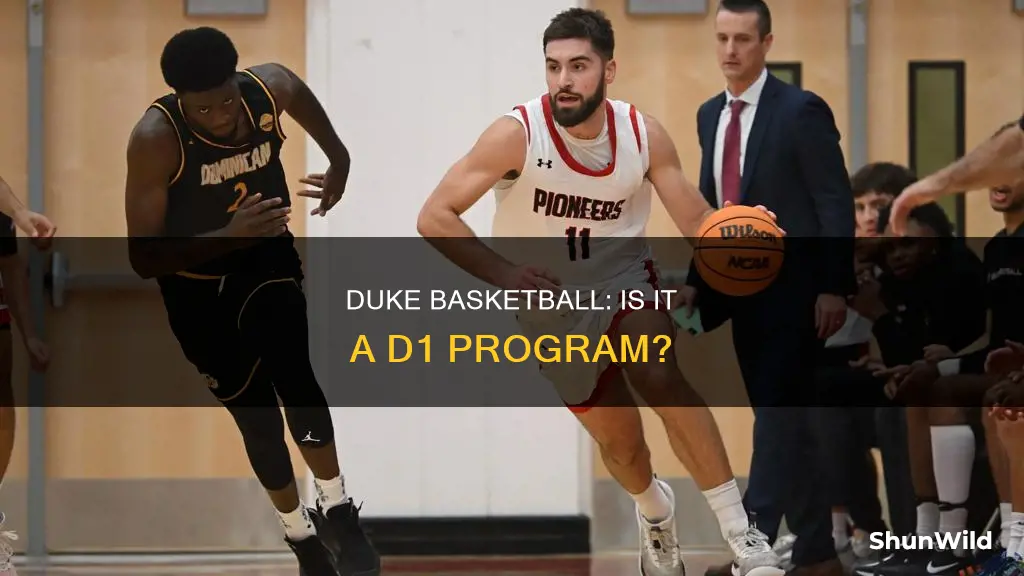 is du basketball d1