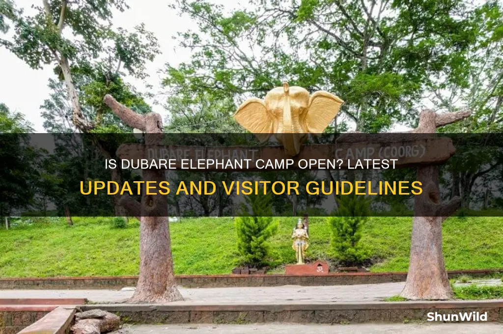 is dubare elephant camp open