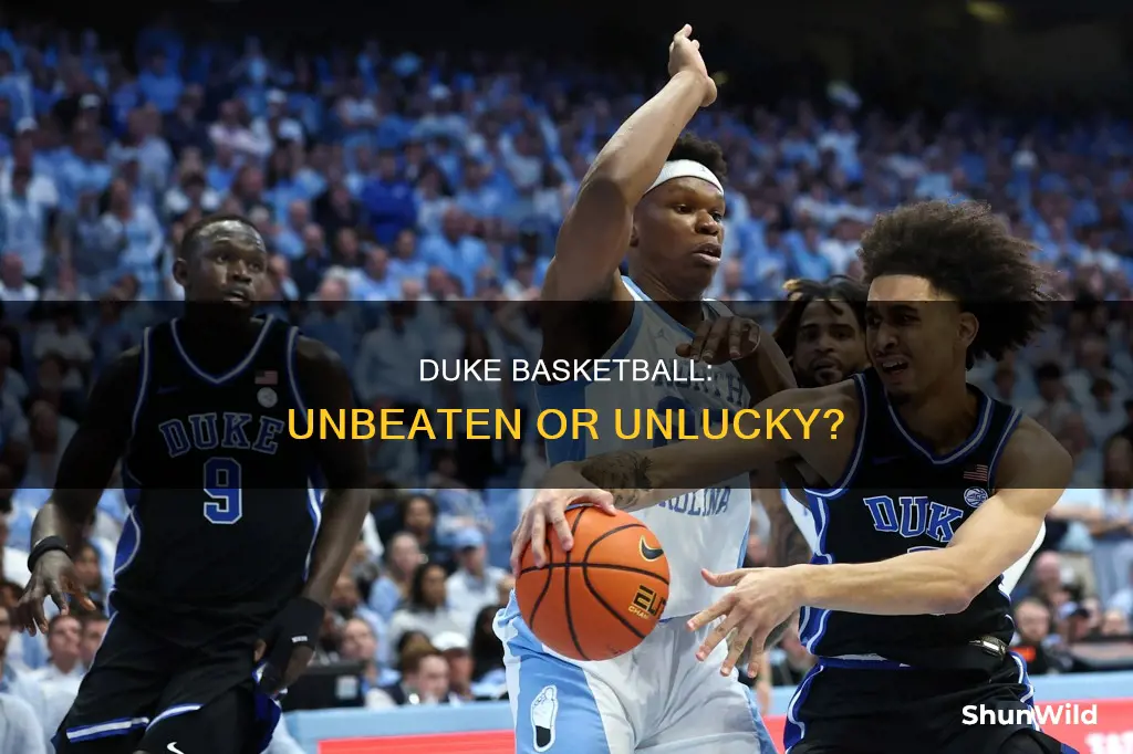 is duke basketball not losses
