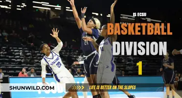 ECSU Basketball: Division 1 Status and Future