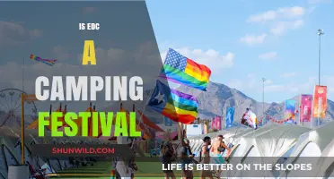 Is EDC a Camping Festival? Exploring the Experience and Options