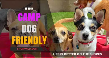 Is Eden Camp Dog Friendly? A Guide for Pet Owners