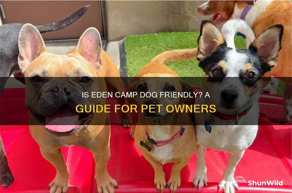 is eden camp dog friendly